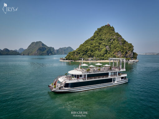 Du Thuyền Iris Cruise Hạ Long