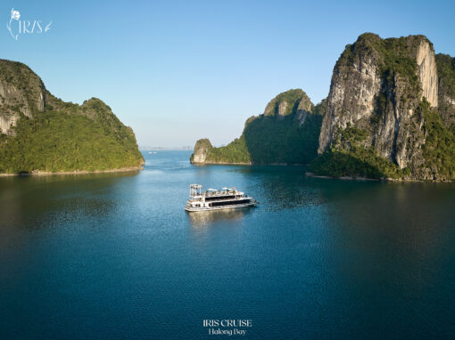 Du Thuyền Iris Cruise Hạ Long